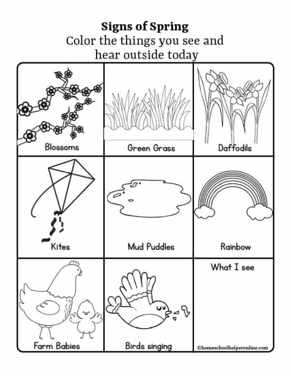 Signs of Spring Worksheet & Book Recommendations for Ages 2 to 8