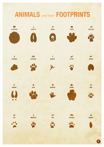 Zoo Animal Infographic Posters by Laura Hobson, via Behance Dog Infographic, Infographic Posters, Wildlife Infographic, Zoo Animals, Animals And Pets, Zoo Signage, Animal Footprints, Animal Tracks, Time Tattoos