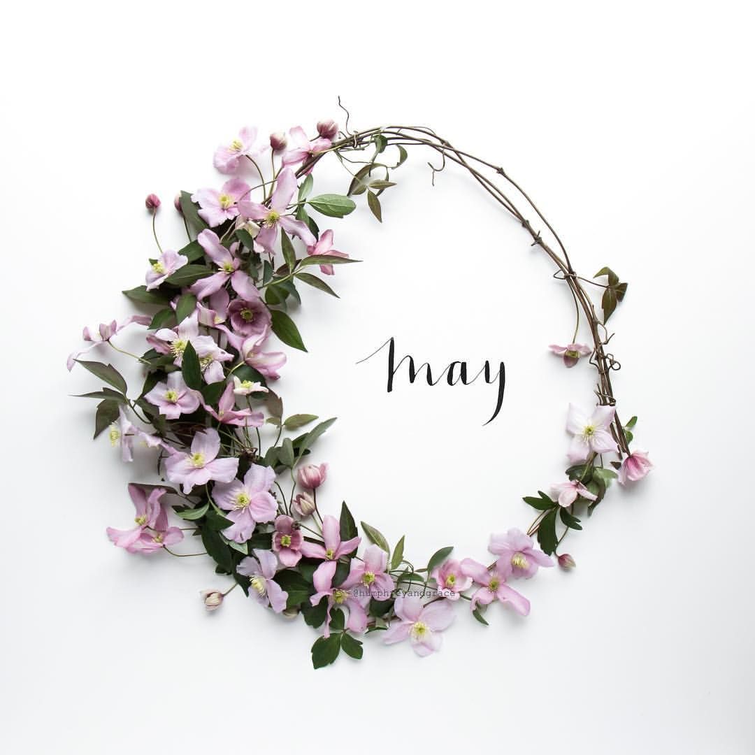 Julia Smith (@humphreyandgrace) on Instagram: “And then came May...” Seasons Months, Days And Months, Months In A Year, 12 Months, Hello May, Welcome May, Month Flowers, New Month, Design Seeds