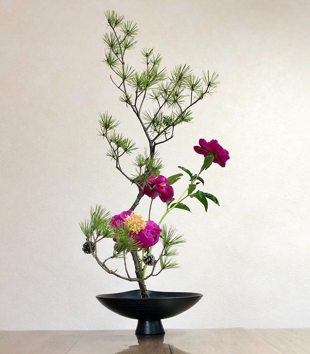 Aiko On Instagram 生花二種生 逆勝手 松 シャクヤク Kadoh Ikebana Flower Flowers Flowerstagram Flowerarrangement Flow Japanese Flowers Flower Arrangements Ikebana Aiko On Instagram 生花二種生 逆勝手 松 シャクヤク Kadoh Ikebana Flower Flowers Flowerstagram Flowerarrangement Flow Japanese Flowers Flower Arrangements Ikebana