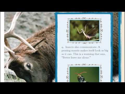 HOW ANIMALS TALK YouTube Storytown Stories And Reading