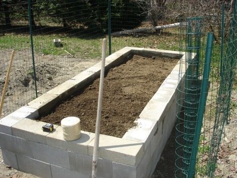 Im Thinking Concrete Blocks Might Be Easier Than Building Wooden - Making Raised Garden Beds With Cinder Blocks Im Thinking Concrete Blocks Might Be Easier Than Building Wooden - Making Raised Garden Beds With Cinder Blocks