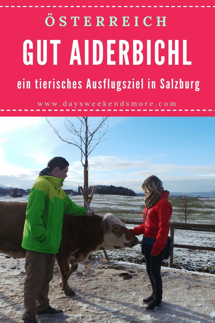 Gut Aiderbichl Ein Tierisches Ausflugsziel In Salzburg
