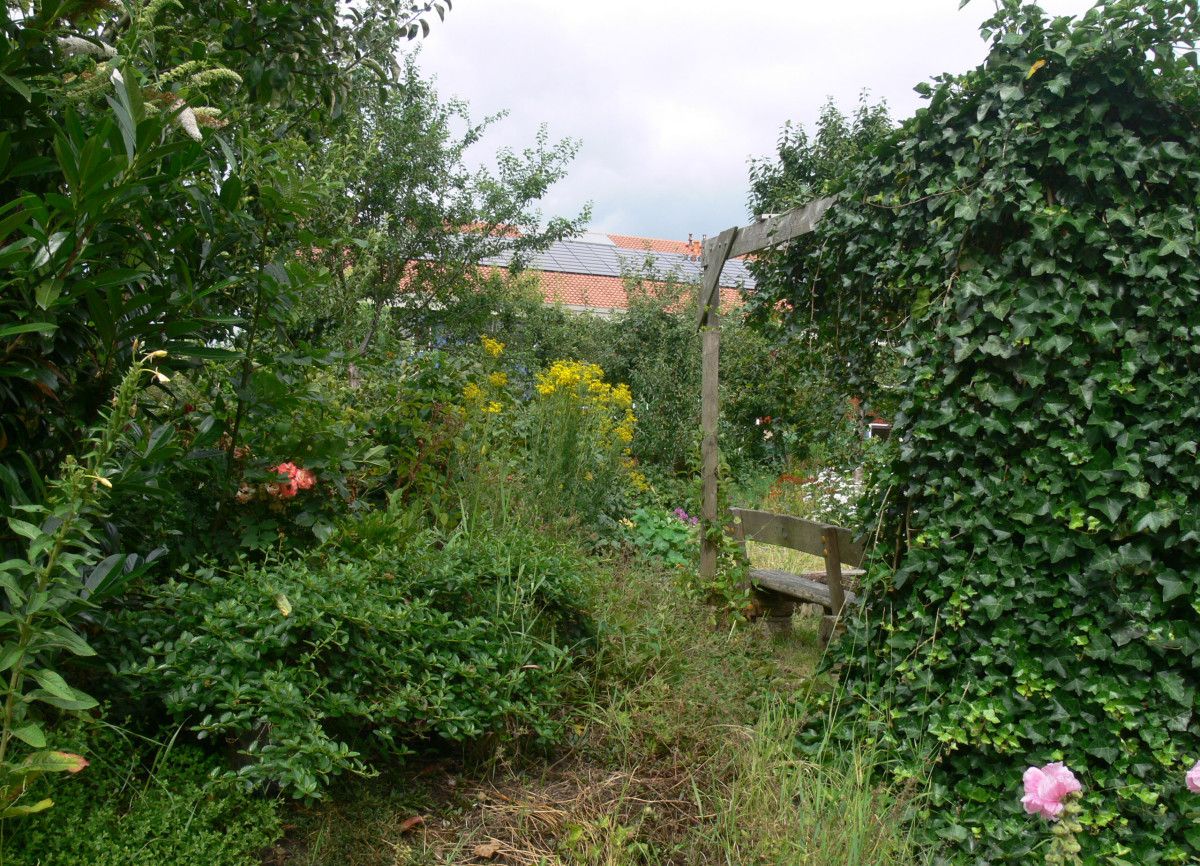 Oran Comment créer son jardin en permaculture Créer son jardin, Permaculture, Jardin Oran Comment créer son jardin en permaculture Créer son jardin, Permaculture, Jardin