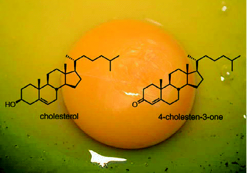 Isolation of Cholesterol from an Egg Yolk | Abstract images, Abstract