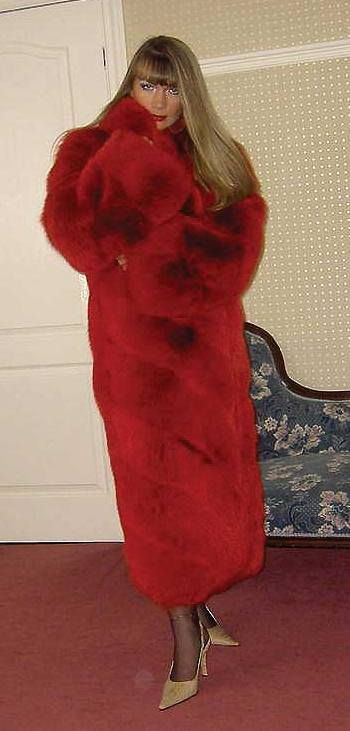 Dyed Red Fox