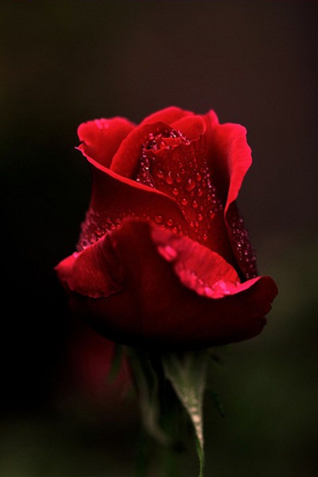 Pin On Love Quotes Miss You So Much You Live In My Heart Every