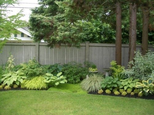 Pin by Jeremy Hammack on Gardening | Landscaping along fence, Backyard