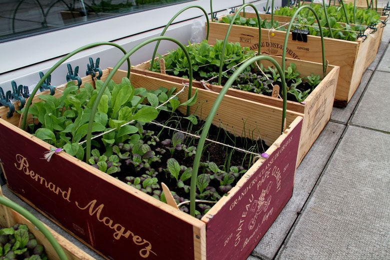 DIY Wine box planters Recipe Garden boxes, Garden, Vegetable garden