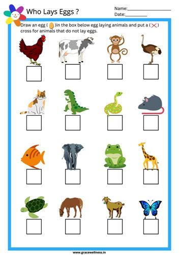 Animals that lay eggs worksheet for kindergarten Artofit Animals that lay eggs worksheet for kindergarten Artofit