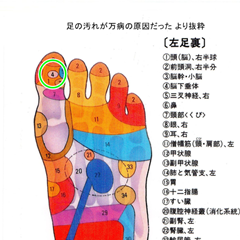 アトピーへの足つぼの効果 完治への3つのポイント Wellness Report ツボ 足つぼ アトピー アトピーへの足つぼの効果 完治への3つのポイント Wellness Report ツボ 足つぼ アトピー