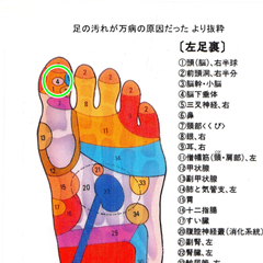 アトピーへの足つぼの効果 完治への3つのポイント Wellness Report ツボ 足つぼ アトピー