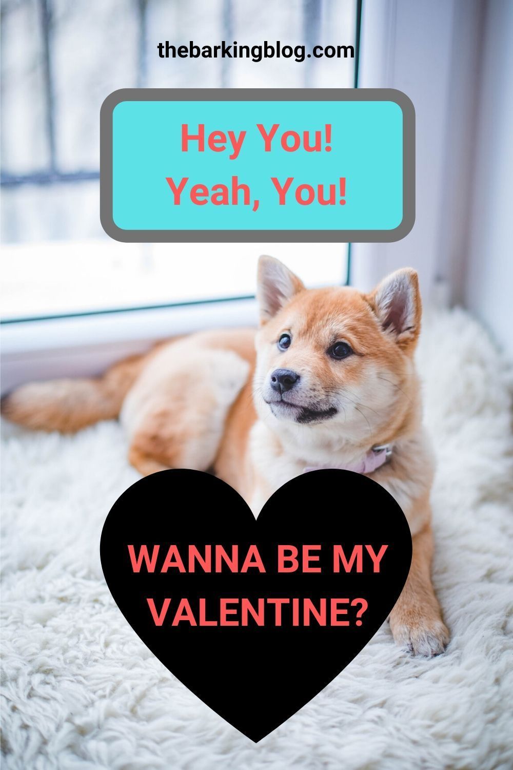 Beautiful Valentines Day Dog Wanna Be My Valentine Valentines Day Dog She Dog Dog Wedding Beautiful Valentines Day Dog Wanna Be My Valentine Valentines Day Dog She Dog Dog Wedding