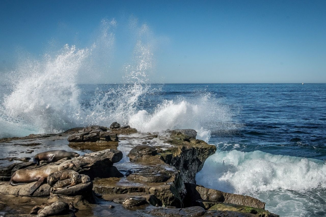 How to watch netflix on a soniq smart tv Images of nature gallery la jolla
