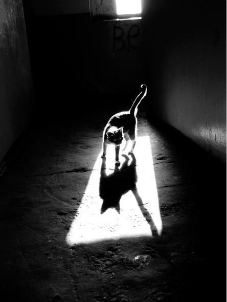 The Absence of Light – Shadow Photography by Alexey Bednij