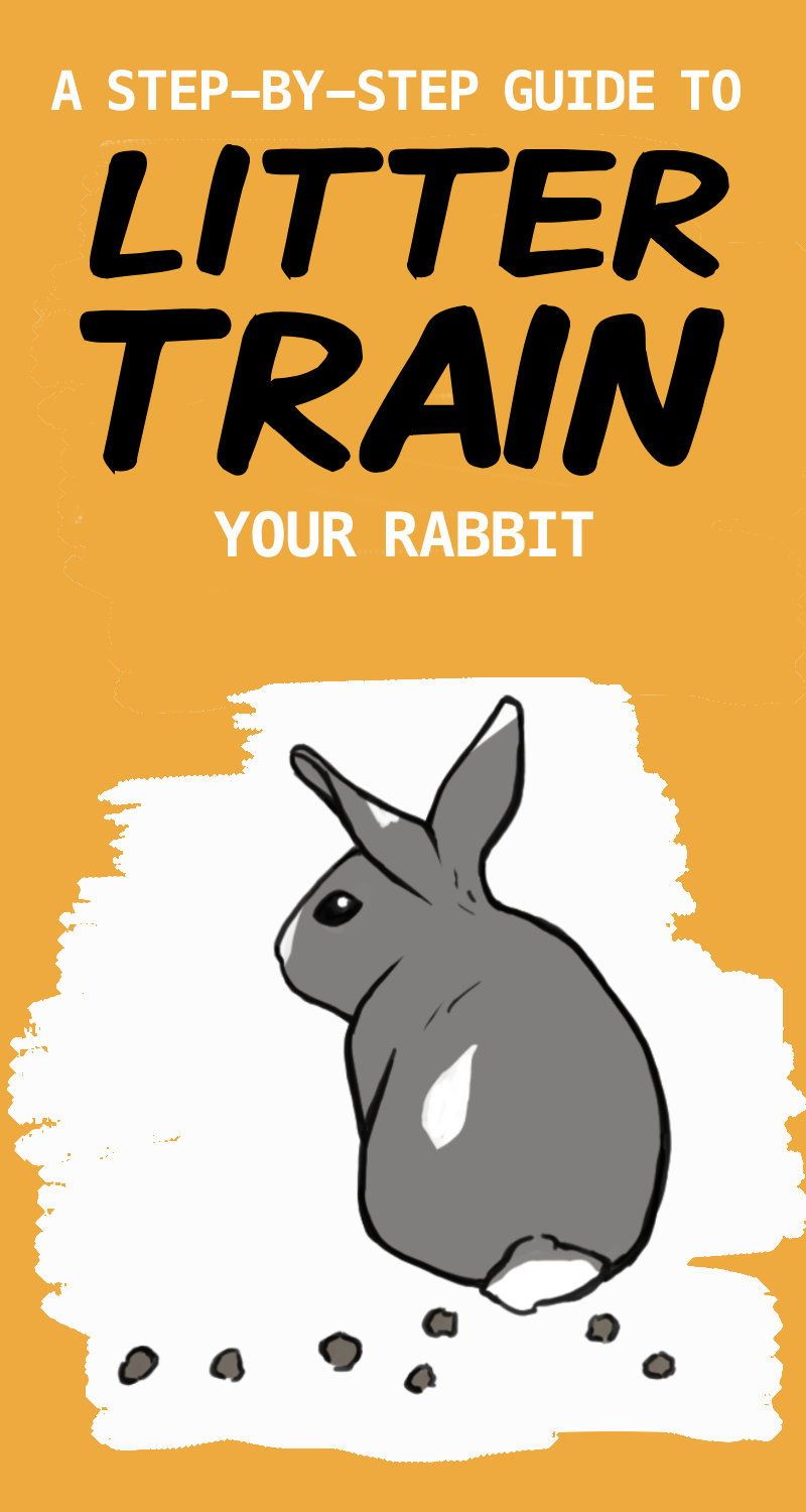 Diy Bunny Cage, Diy Bunny Toys, Diy Rabbit Cage, Bunny Cages, Rabbit Cages, Indoor Rabbit House, Indoor Rabbit Cage, House Rabbit, Rabbit Litter Box