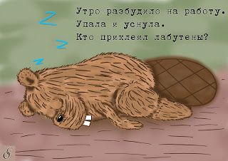 Бобр Прикольные Фото Бобр Прикольные Фото