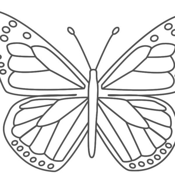 monarch butterfly template free download clip art free
