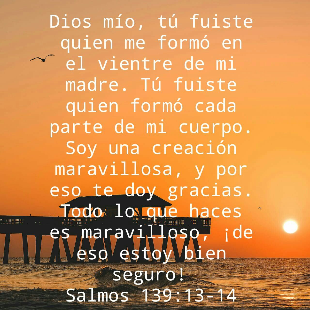 Pin On D salmo-30-biblia-hablada-con-oraci-n-poderosa-reina-valera-1960-youtube