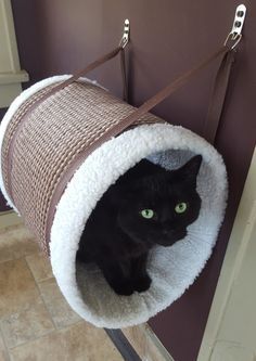 taking time to identify your pet s needs and researching the many cat beds on the market means sweet dreams for both you and yo kitten beds diy cat bed cat bed