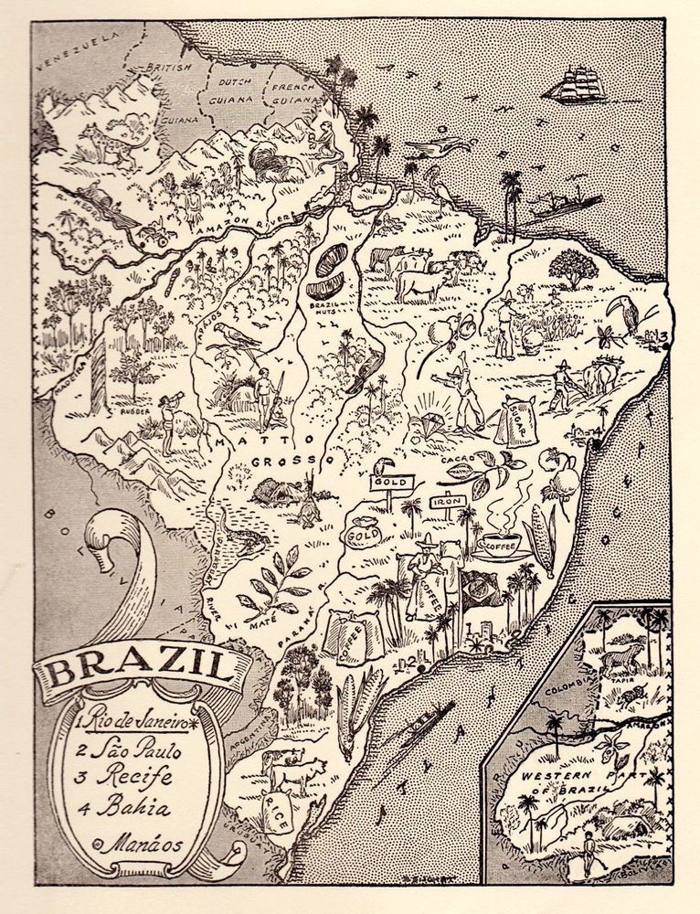 1950s Vintage BRAZIL Map Picture Map of Brazil Print Animals GOLD