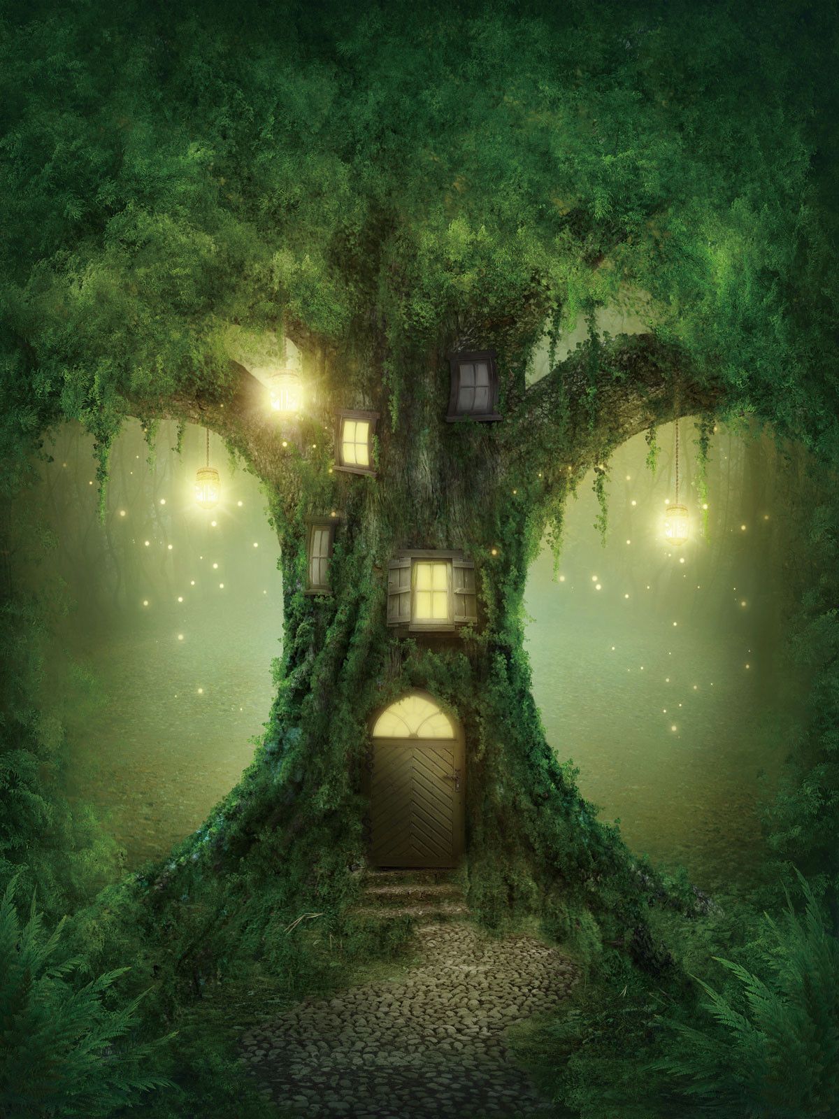 The Mystery of The Magical Cucumber Tree