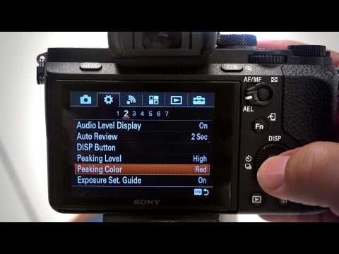 How To Use Manual Focus Tools Mf Assist And Peaking Levels On Sony Cameras Sony Camera Sony Manual Focus