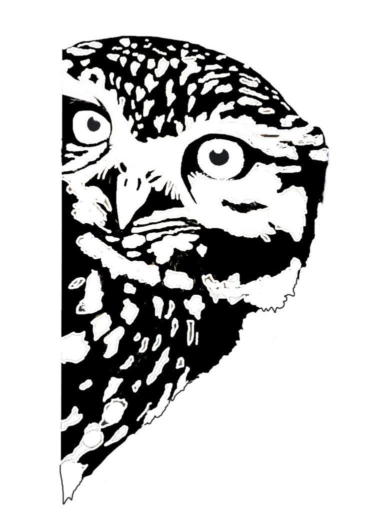 owl stencil Google Search Vinyl Pinterest Owl stencil owl stencil Google Search Vinyl Pinterest Owl stencil