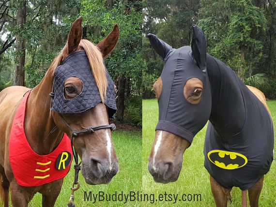 Batman Equine Costume Superhero Outfit For Pony Horse Or Mule