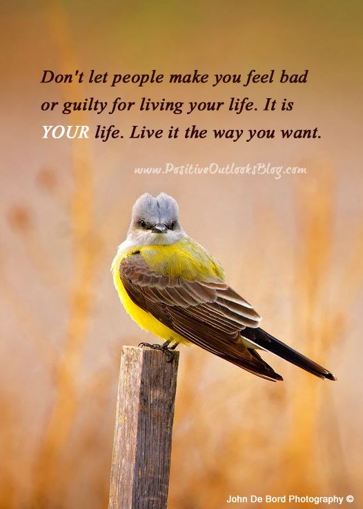 Live Your Life The Way You Want It (Positive Outlooks and Humor) | How