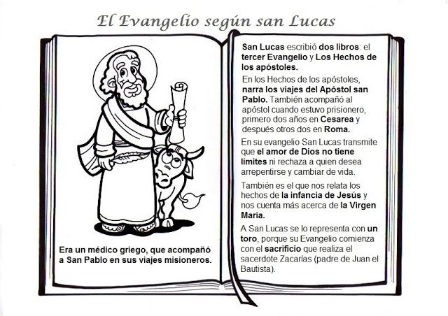 Evangelios Sinopticos Para Niños Buscar Con Google Evangelio Evangelio Catolico Catequesis