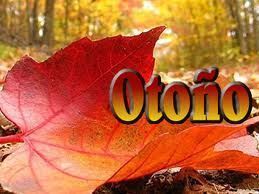 Bienvenido Otoño! #bienvenidootoño Bienvenido Otoño! #bienvenidootoño Bienvenido Otoño! #bienvenidootoño Bienvenido Otoño! #bienvenidootoño Bienvenido Otoño! #bienvenidootoño Bienvenido Otoño! #bienvenidootoño Bienvenido Otoño! #bienvenidootoño Bienvenido Otoño! #bienvenidootoño