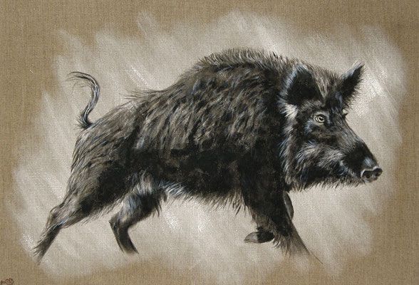 Sanglier Oeil Clair Hog Dog Wild Boar Horse Artwork Sanglier Oeil Clair Hog Dog Wild Boar Horse Artwork