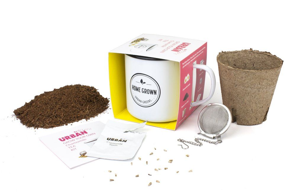 c0133e6efb90399dec76fa8051977029 - How To Grow Chamomile For Tea 2021 how to grow chamomile for tea