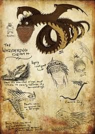 Dragons Riders Of Berk, Httyd Dragons, Dreamworks Dragons, Mythical Creatures Art, Mythological Creatures, Fantasy Creatures, Book Dragon, Dragon Art, Httyd Art