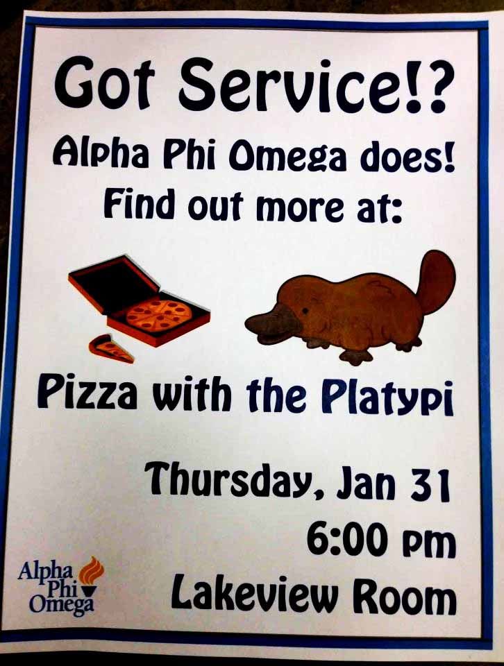 apo recruitment flyer our mascot is the platypus alpha phi apo flyer