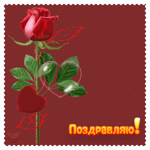 Картинки с надписью поздравляю прикольные