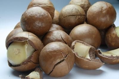 Las Mejores 26 Ideas De Macadamia Oil Macadamia Antioxidantes Vitamina E