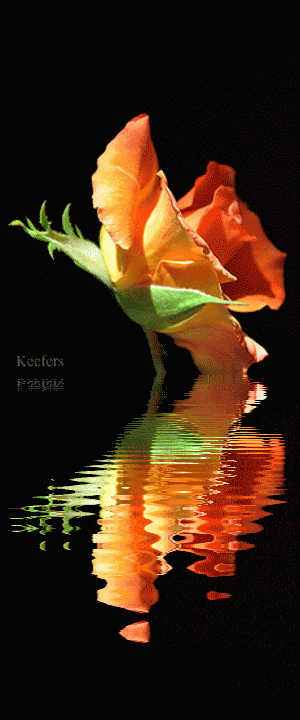 Animated Gif, Animated Flowers, Beautiful Flowers, Flowers, Flores, Animated Gifs, Animated Graphics, Keefers |
Flowers gif, Beautiful gif, Flowers
