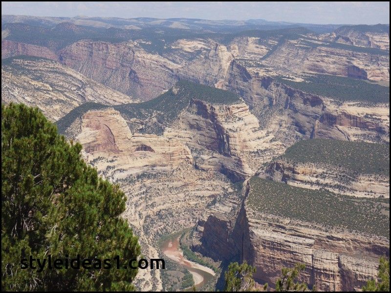 Where To Stay At Olympic National Park When To Visit Zion National Park