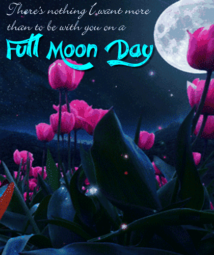 Best of Full moon bdsm e card card Full moon bdsm e