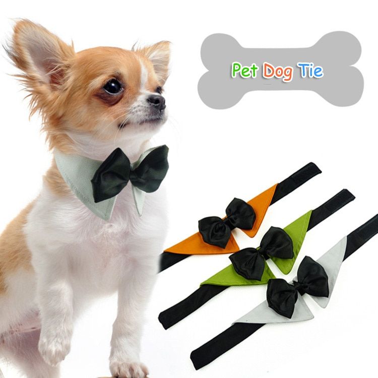 color blanco DULEE Pajarita ajustable para mascota perros pequeños y gatos accesorio de aseo para cachorros S: 26-30 cm disfraz formal de perro y gato