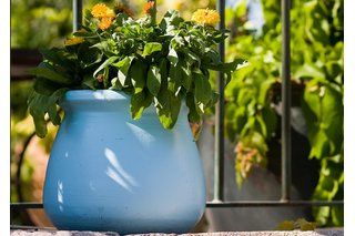 How To Repaint Glazed Ceramic Planters Ehow Com Flower Pots Painted Planter Paint Garden How To Repaint Glazed Ceramic Planters, How To Paint Glazed Outdoor Pots