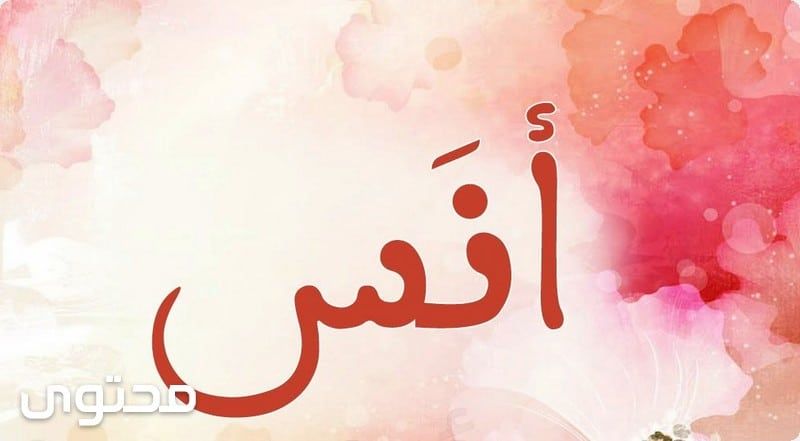اسماء اولاد من القران الكريم والسنة معاني الاسماء آدم اسماء اولاد Arabic Calligraphy Art Calligraphy