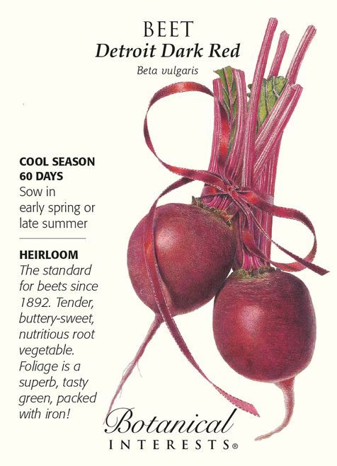 Growing Beets In Your Garden Is Easy And Will Allow You To Enjoy Less Known Varieties Such As White Yellow Growing Beets Growing Seeds Organic Gardening Tips