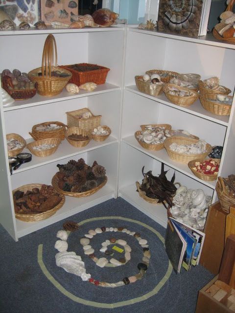 indoor learning environments for children Reggio Inspired Classrooms, Reggio Classroom, Outdoor Classroom, Preschool Classroom, Play Based Learning, Early Learning, Learning Activities, Preschool Rooms, Preschool Science