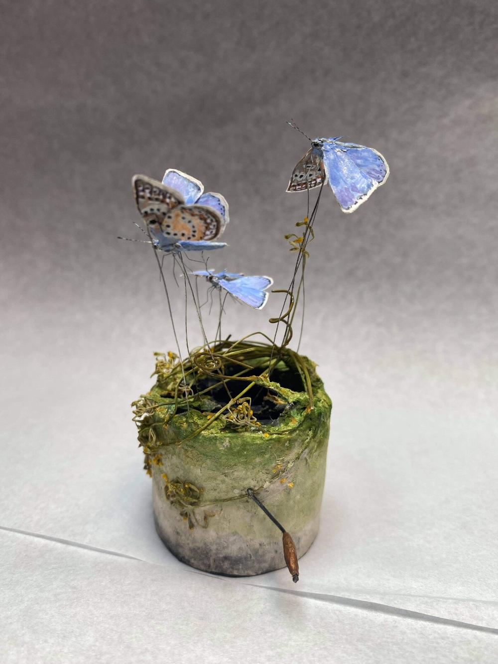 Creatures Fly and Swim through Lush Ecosystems in Kinetic Miniatures by Penny Thomson