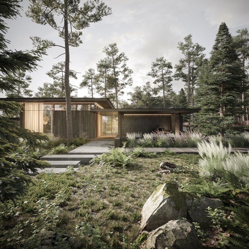 dezest envisions its pine cove house as a forested retreat to escape urban density