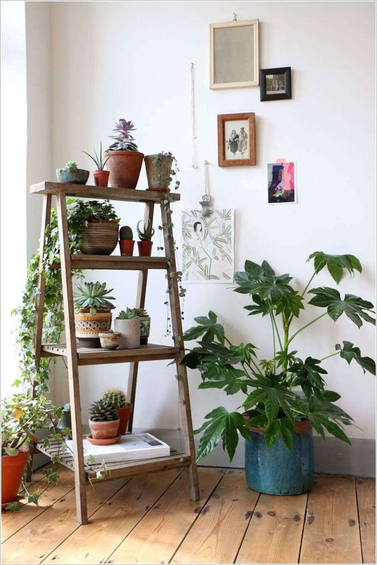 50 Idee per Arredare con le Piante | MondoDesign.it | Idee 50 Idee per Arredare con le Piante | MondoDesign.it
