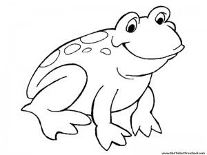 Download Use this free preschool printable frog coloring page in any pond lesson plan. Art Patterns ...